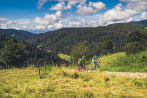Mountainbike Fahrer auf dem Toodtmoos Trail_Internet_23225